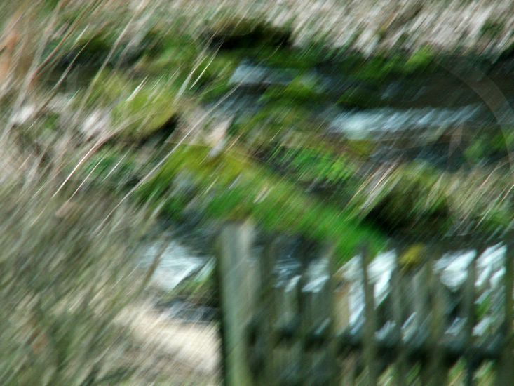 100403_PICT0075.JPG