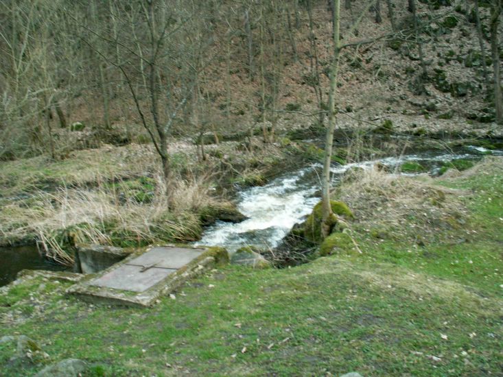 100403_PICT0076.JPG