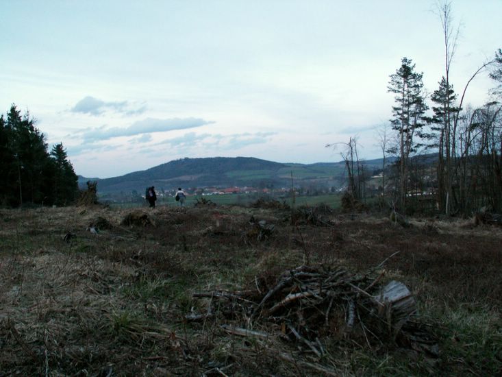 100403_PICT0092.JPG