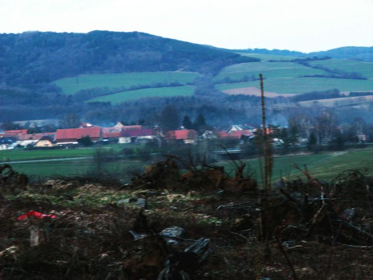 100403_PICT0093.JPG