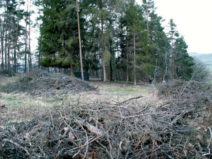 100403_PICT0094.JPG