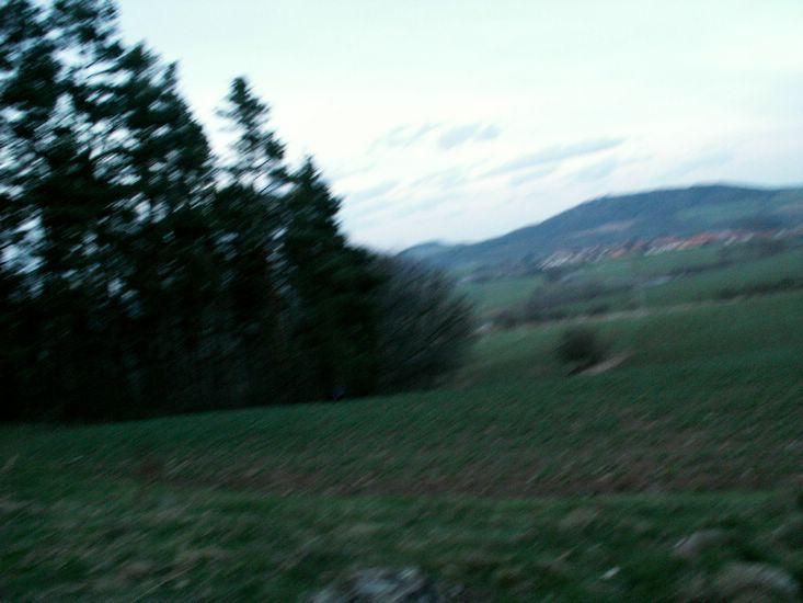 100403_PICT0098.JPG
