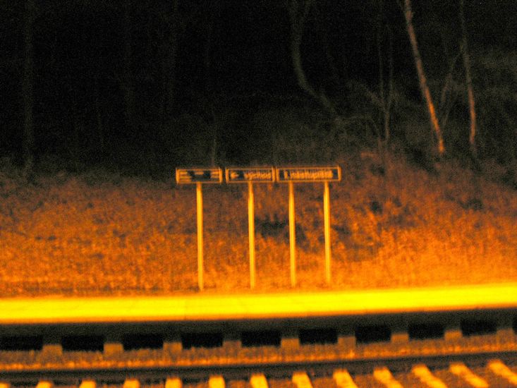 100403_PICT0124.JPG