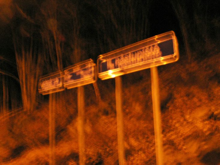 100403_PICT0125.JPG