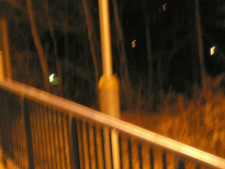 100403_PICT0127.JPG