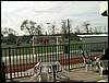 100403_PICT0002.JPG