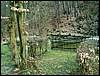 100403_PICT0074.JPG