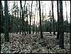 100403_PICT0081.JPG