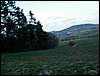 100403_PICT0098.JPG