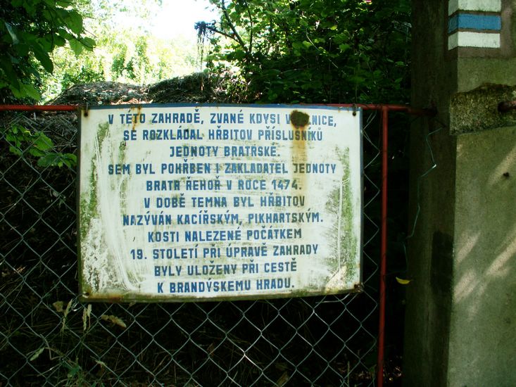 100705_PICT0011.JPG