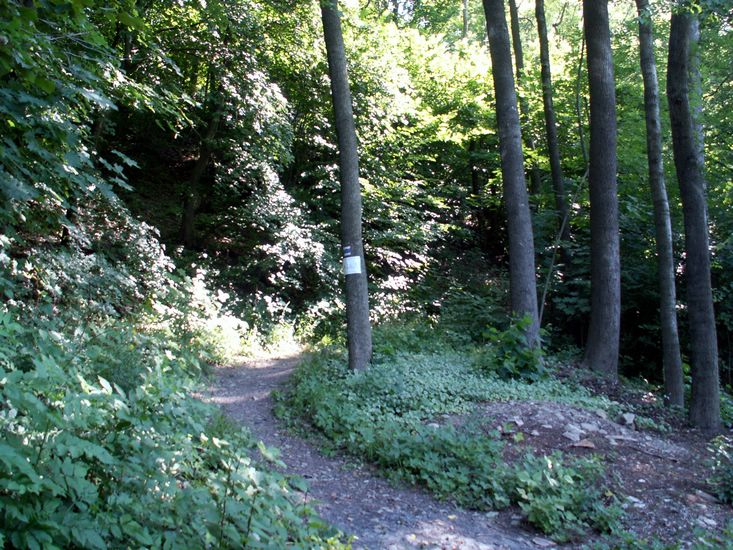 100705_PICT0013.JPG