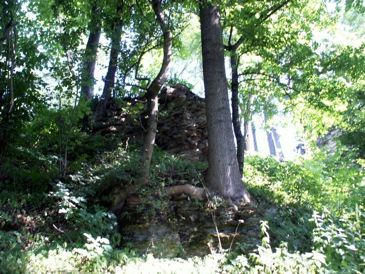 100705_PICT0016.JPG