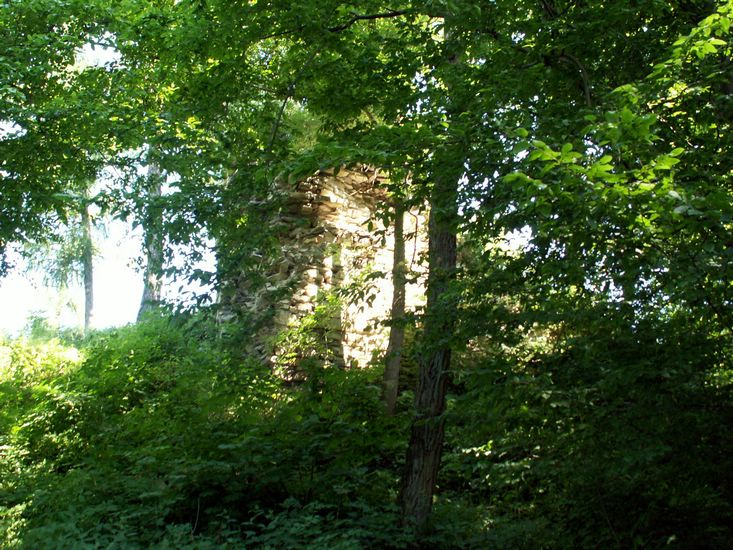100705_PICT0017.JPG