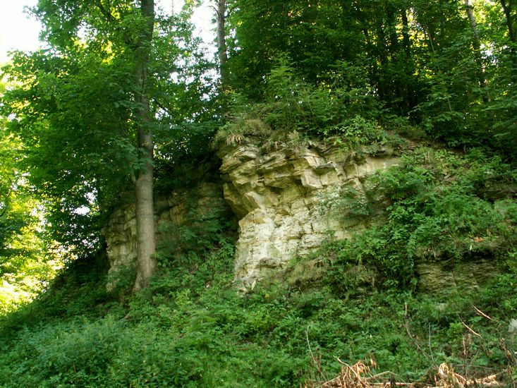 100705_PICT0019.JPG