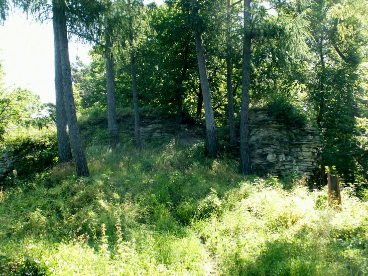 100705_PICT0020.JPG