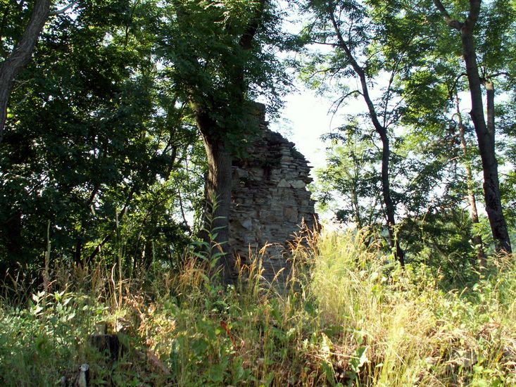100705_PICT0022.JPG