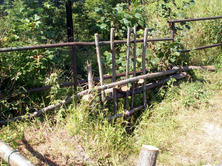 100705_PICT0024.JPG