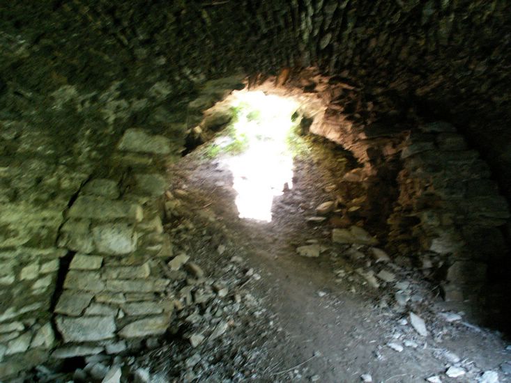 100705_PICT0028.JPG