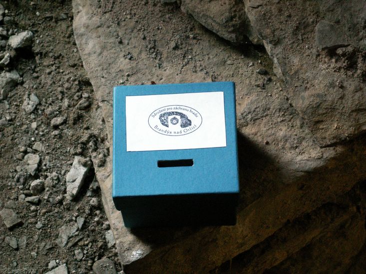 100705_PICT0030.JPG