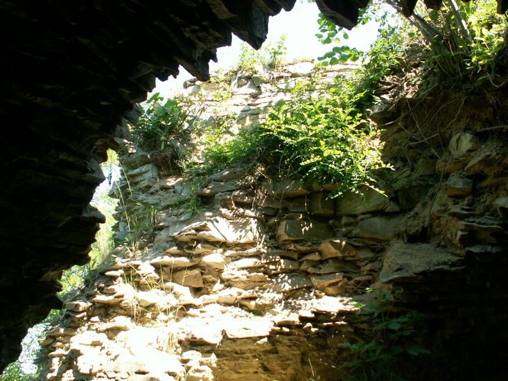 100705_PICT0031.JPG
