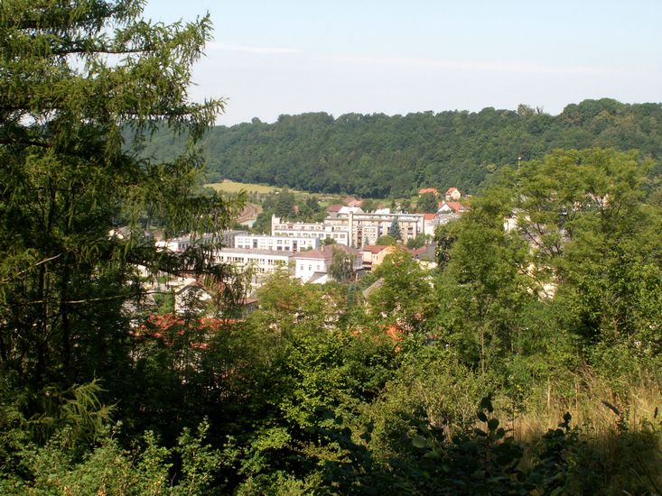 100705_PICT0035.JPG