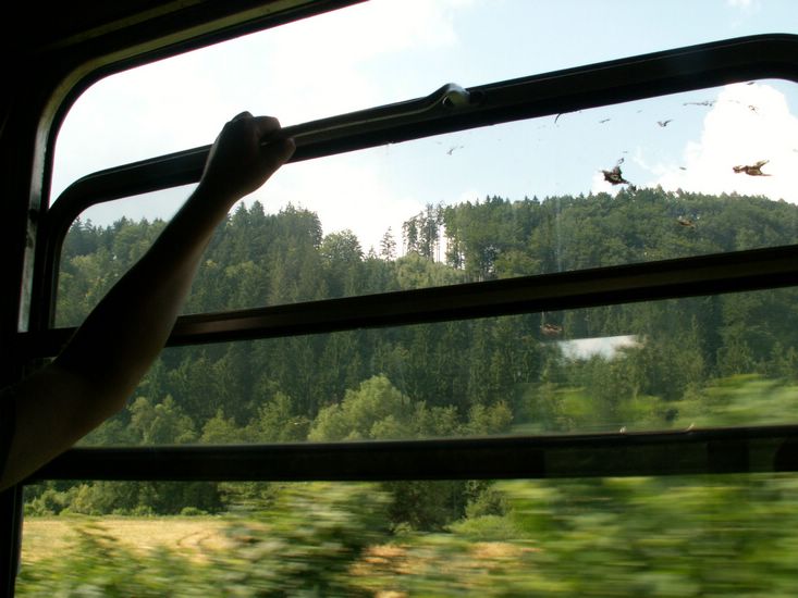 100705_PICT0051.JPG