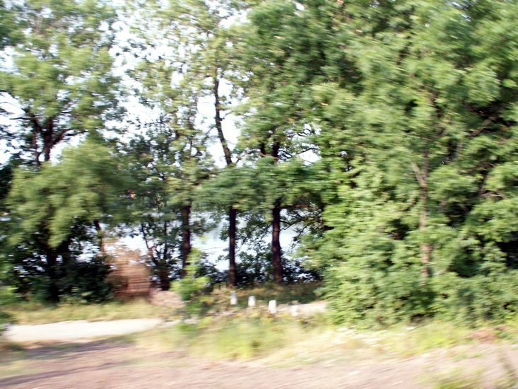 100705_PICT0055.JPG