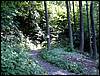 100705_PICT0013.JPG