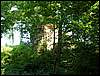 100705_PICT0017.JPG