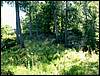 100705_PICT0020.JPG