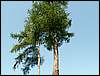 100705_PICT0021.JPG