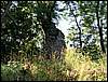 100705_PICT0022.JPG