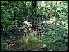 100705_PICT0026.JPG