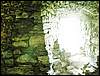 100705_PICT0032.JPG