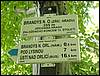 100705_PICT0036.JPG