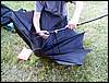 100705_PICT0056.JPG