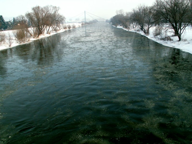 101218_PICT0004.JPG