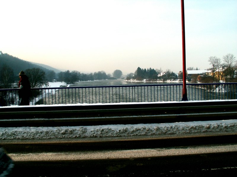 101218_PICT0008.JPG