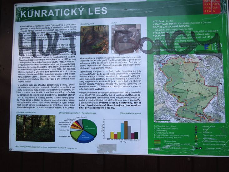 110424_Blanik006.jpg