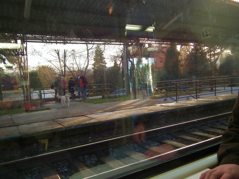 111231_berounka_008k.jpg