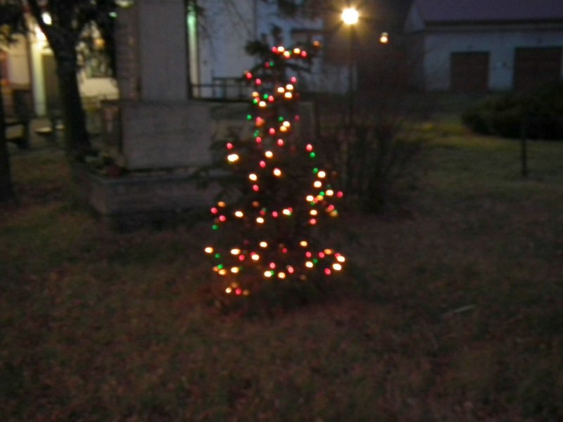 111231_berounka_099k.jpg