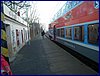 111231_berounka_014k.jpg