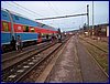 111231_berounka_086k.jpg