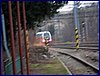 111231_berounka_090k.jpg