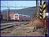 111231_berounka_093k.jpg