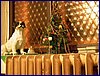 111231_berounka_102k.jpg