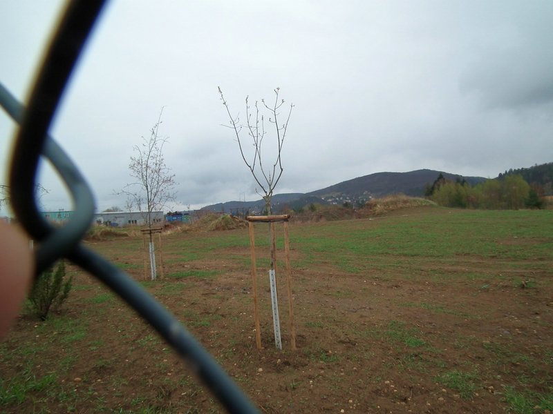 120407_foto_021.jpg