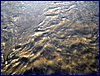 121229_berounka_foto078.jpg