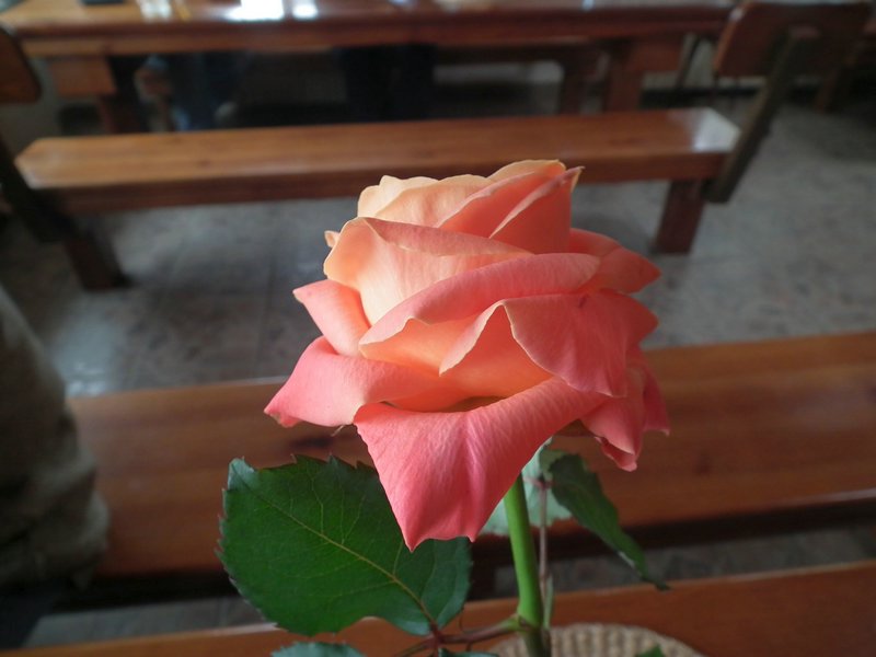 130331_foto_022.jpg