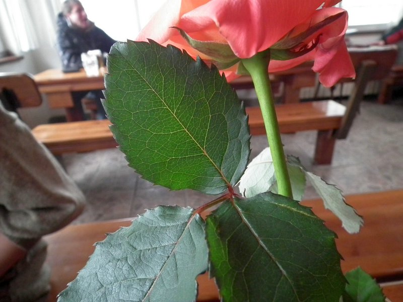130331_foto_023.jpg